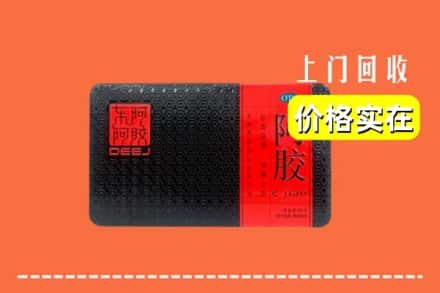 锡林郭勒锡林浩特回收阿胶