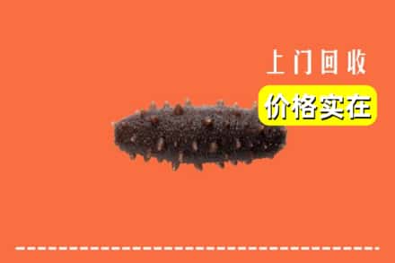 锡林郭勒锡林浩特回收海参