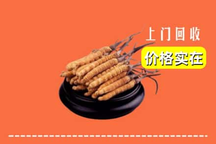 锡林郭勒锡林浩特回收冬虫夏草