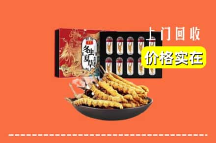 锡林郭勒锡林浩特回收虫草